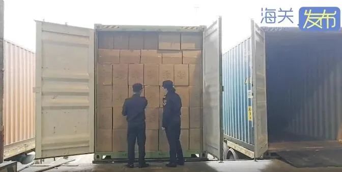 巨額罰款！20噸